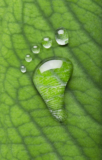 Notre empreinte écologique - Stecker - Bertrix